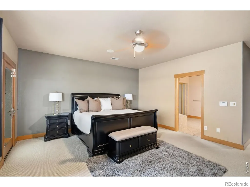1520 Pintail Cove Windsor CO 80550
