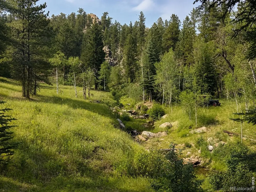 0 County Road 59 Allenspark CO 80510