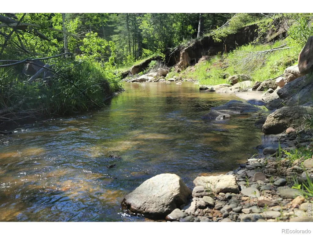 0 County Road 59 Allenspark CO 80510