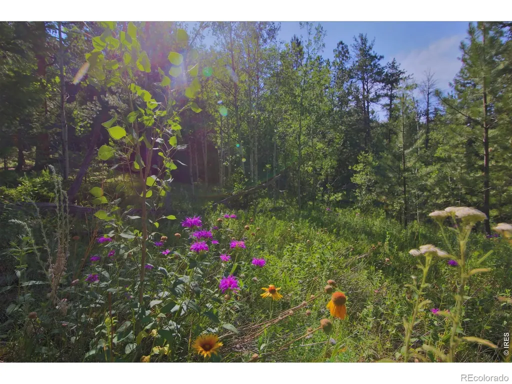 0 County Road 59 Allenspark CO 80510