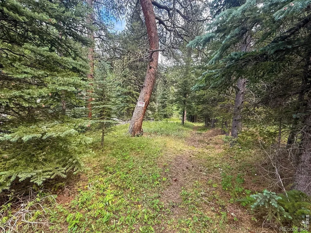 0 County Road 59 Allenspark CO 80510