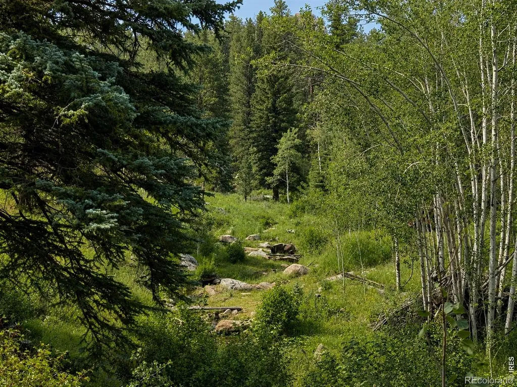 0 County Road 59 Allenspark CO 80510