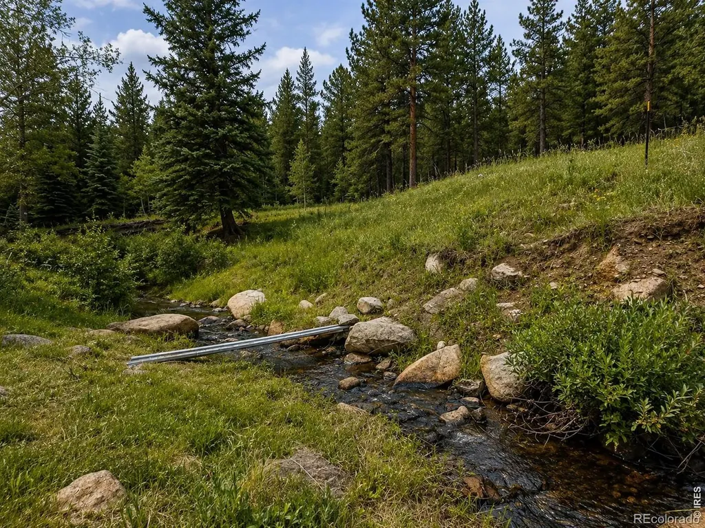0 County Road 59 Allenspark CO 80510