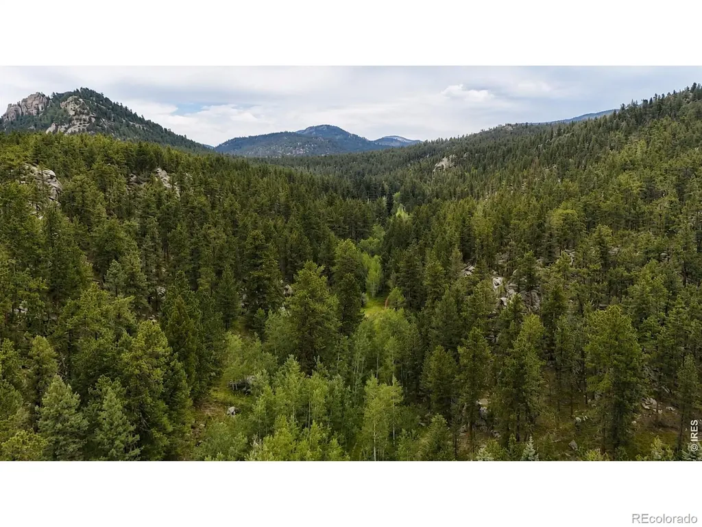 0 County Road 59 Allenspark CO 80510