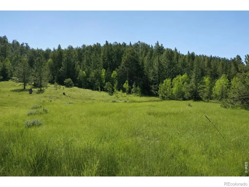 0 County Road 59 Allenspark CO 80510