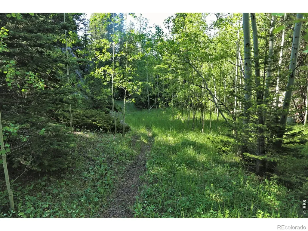 0 County Road 59 Allenspark CO 80510