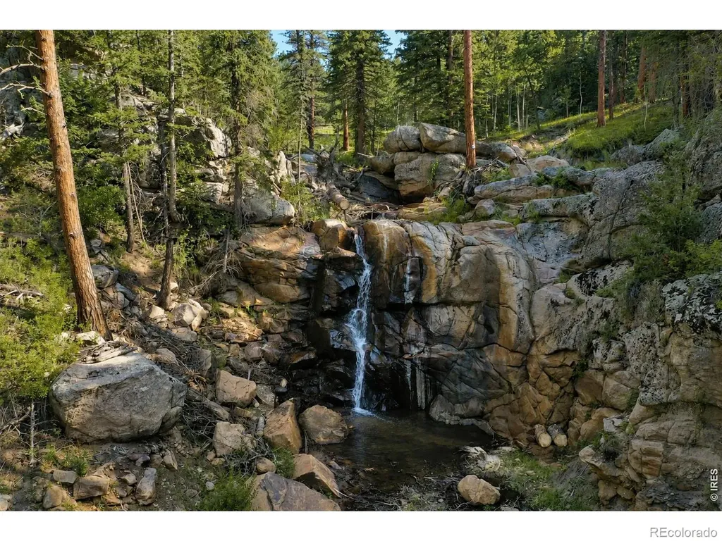 0 County Road 59 Allenspark CO 80510