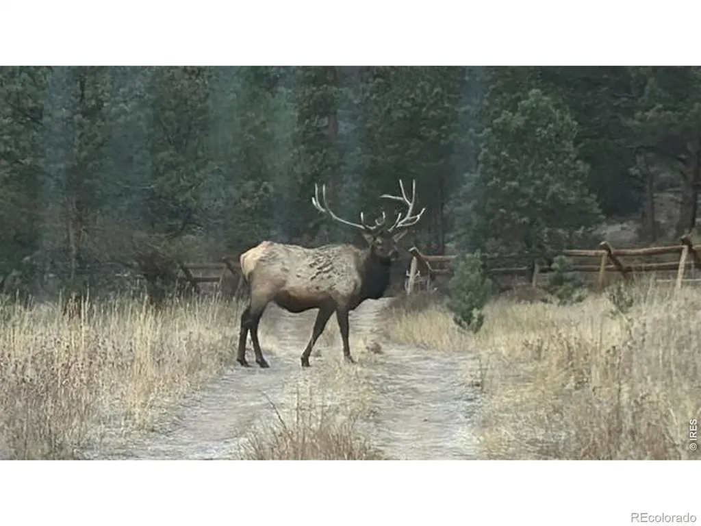0 County Road 59 Allenspark CO 80510
