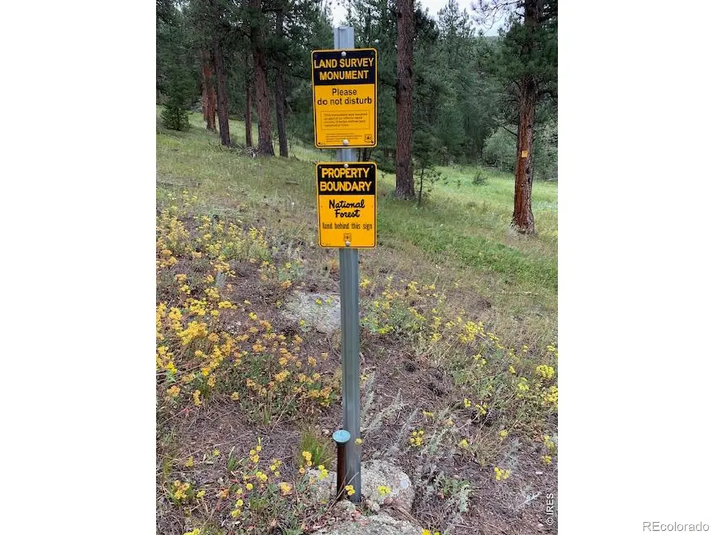 0 County Road 59 Allenspark CO 80510