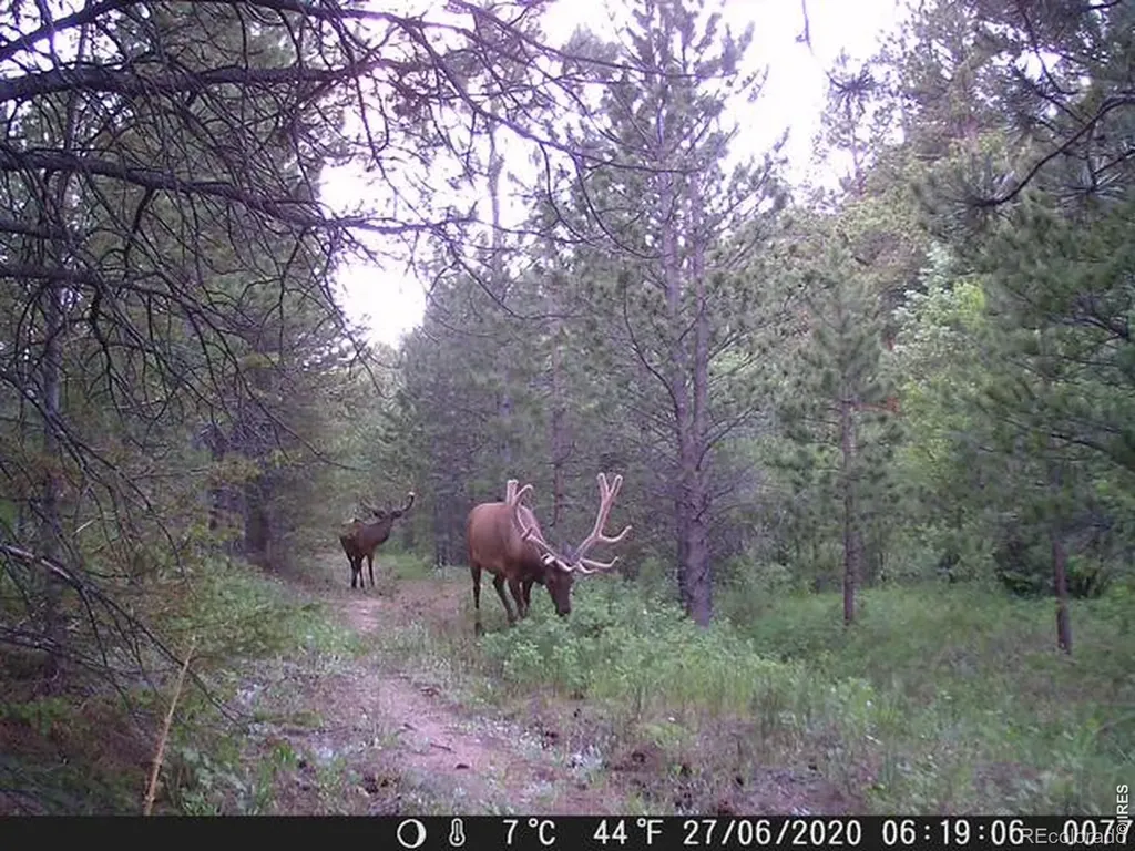 0 County Road 59 Allenspark CO 80510