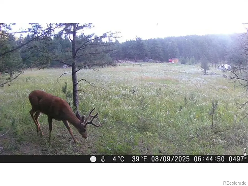 0 County Road 59 Allenspark CO 80510