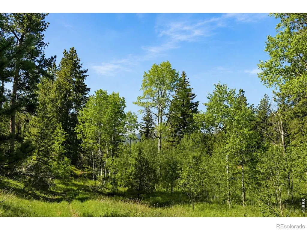 0 County Road 59 Allenspark CO 80510