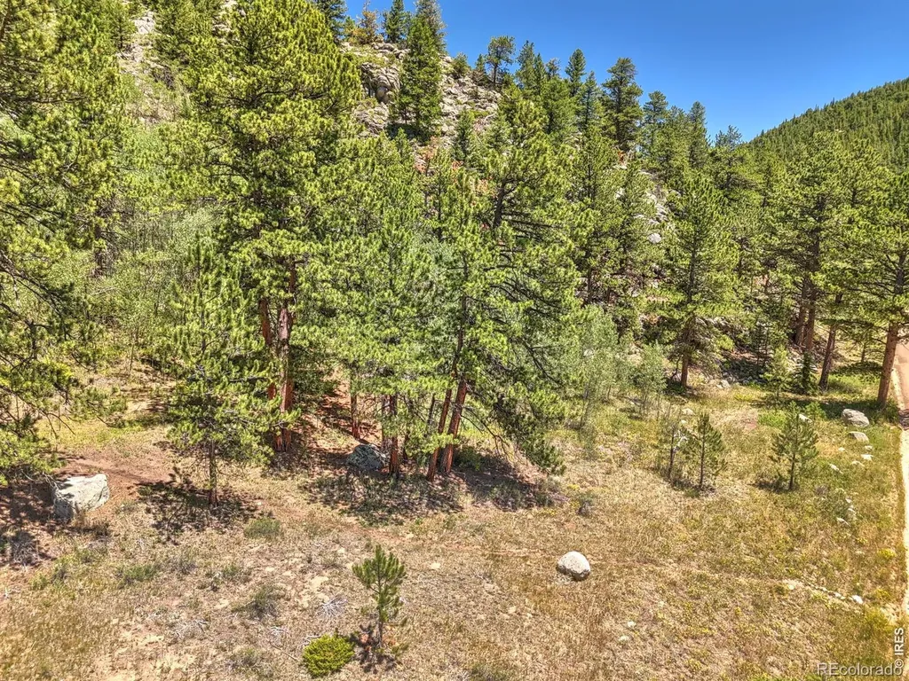 0 Cold Springs Road Nederland CO 80466