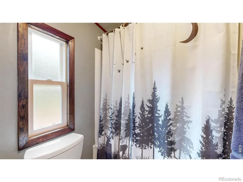 62 Spokane Court Red Feather Lakes CO 80545