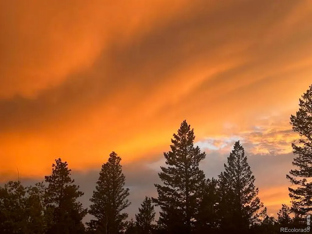 62 Spokane Court Red Feather Lakes CO 80545