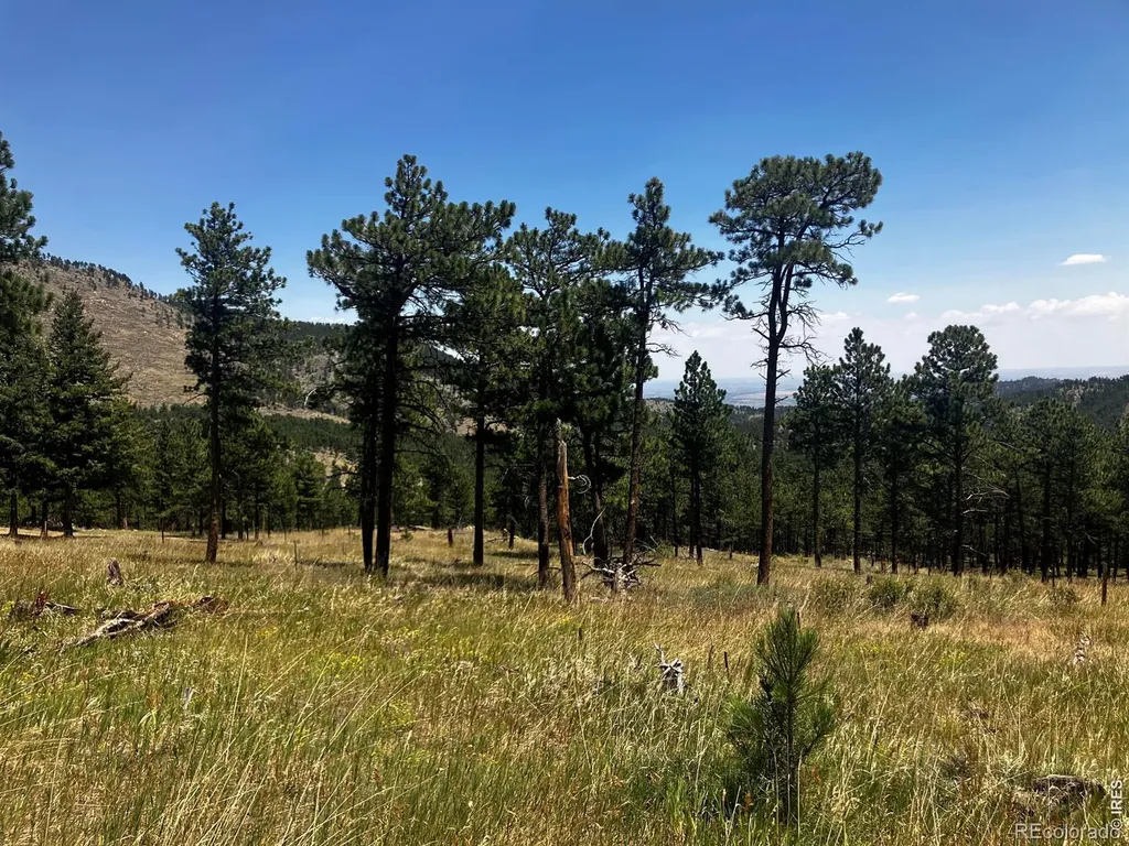 5550 Sunshine Canyon Drive Boulder CO 80302