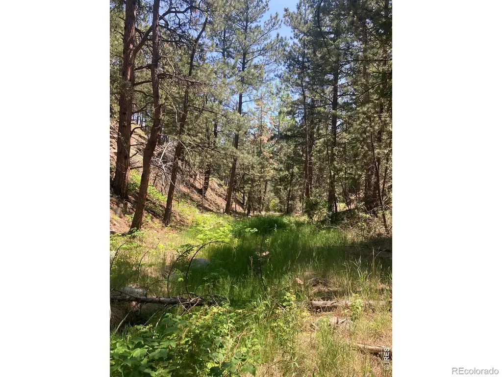 5550 Sunshine Canyon Drive Boulder CO 80302