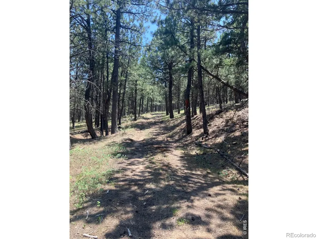 5550 Sunshine Canyon Drive Boulder CO 80302