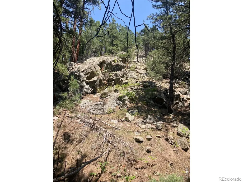 5550 Sunshine Canyon Drive Boulder CO 80302
