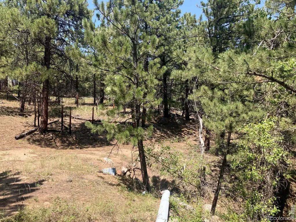 5550 Sunshine Canyon Drive Boulder CO 80302