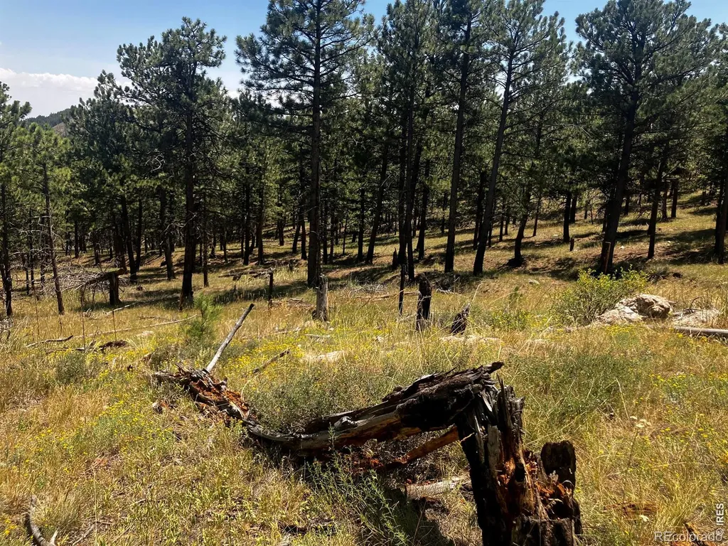 5550 Sunshine Canyon Drive Boulder CO 80302