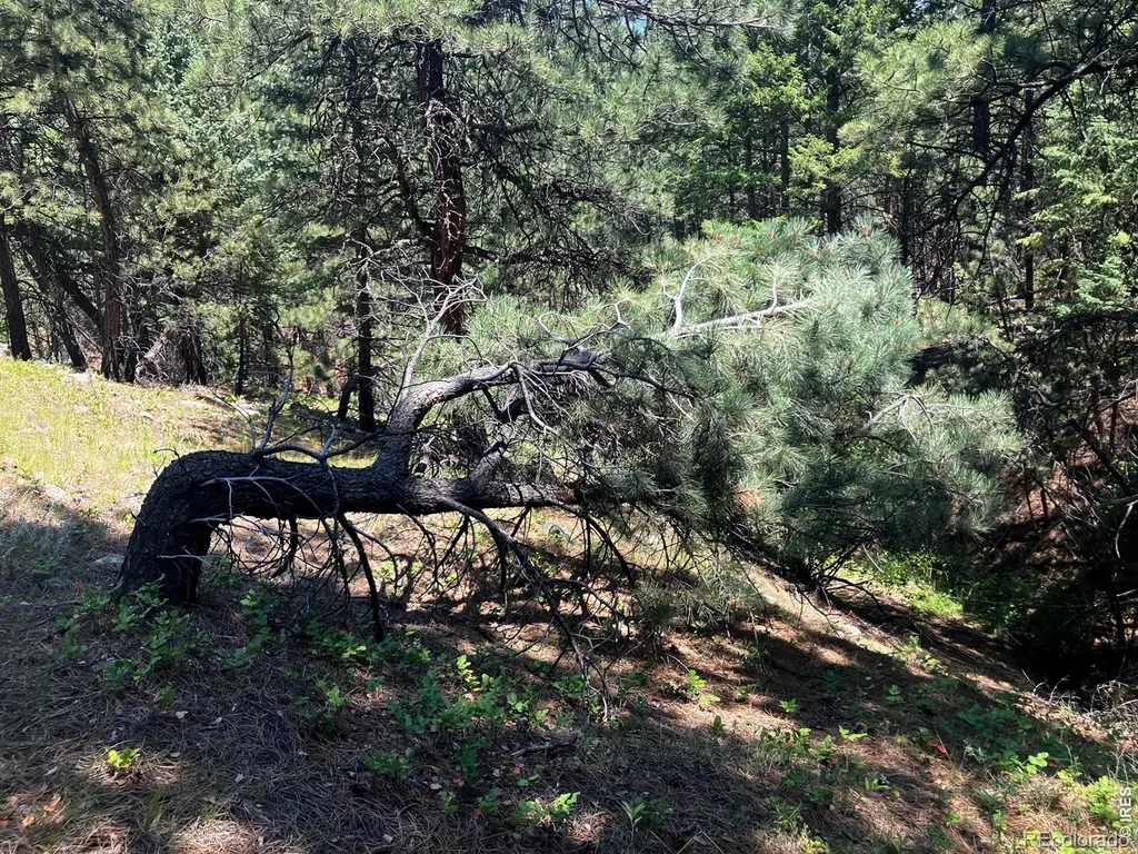 5550 Sunshine Canyon Drive Boulder CO 80302