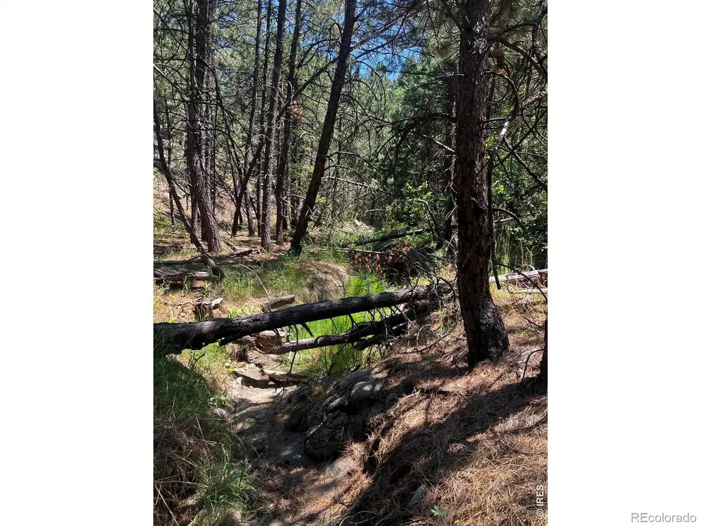 5550 Sunshine Canyon Drive Boulder CO 80302