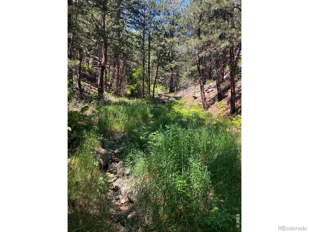 5550 Sunshine Canyon Drive Boulder CO 80302