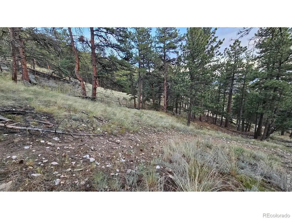 3724 Woodchuck Drive Loveland CO 80538