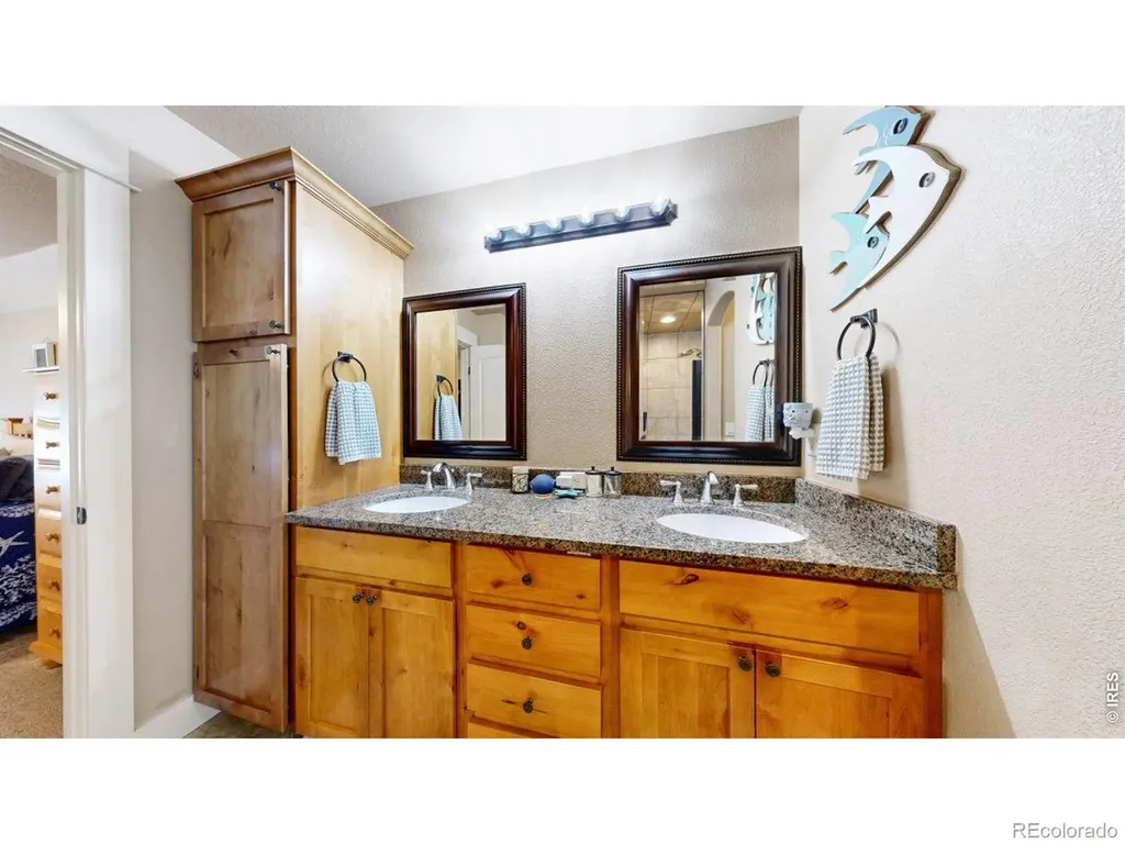 3771 Mount Hope Street Wellington CO 80549