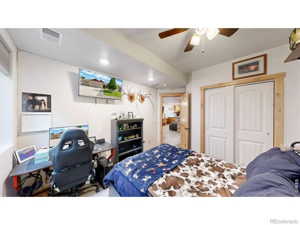 3771 Mount Hope Street Wellington CO 80549
