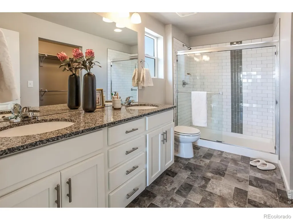 5421 Yancy Street Timnath CO 80547