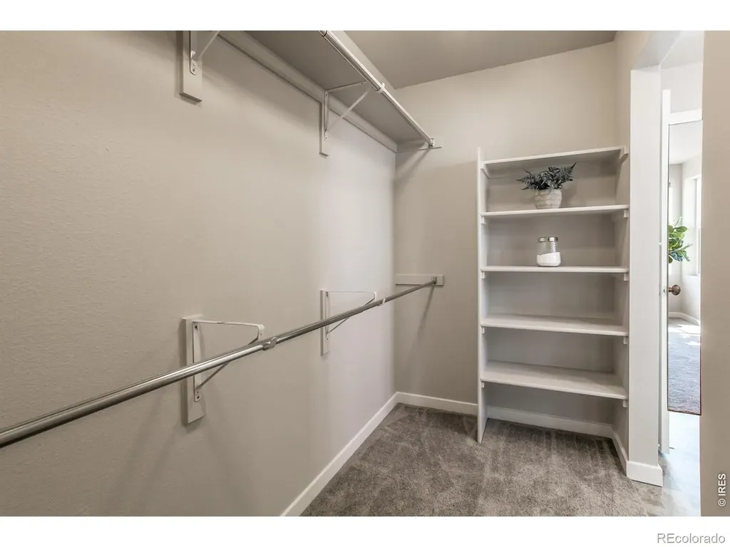 5421 Yancy Street Timnath CO 80547
