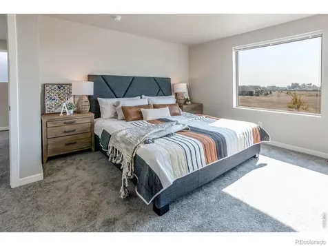 5421 Yancy Street Timnath CO 80547