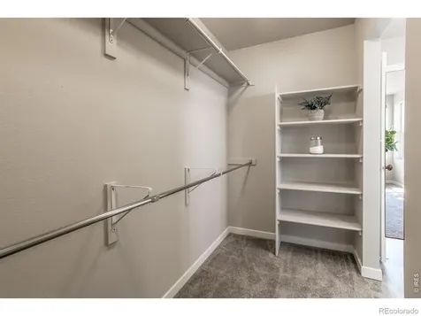 5421 Yancy Street Timnath CO 80547