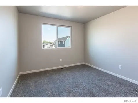 5421 Yancy Street Timnath CO 80547