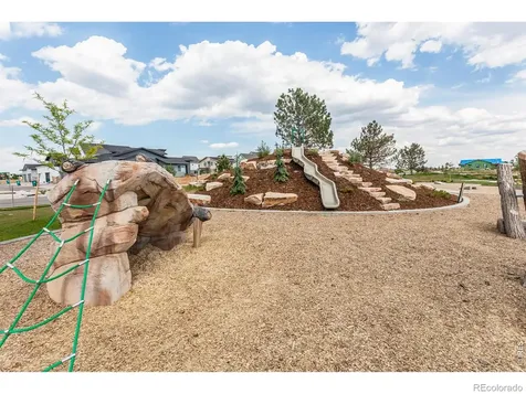 5421 Yancy Street Timnath CO 80547