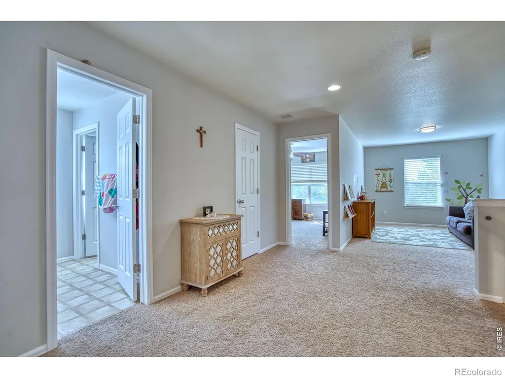 1667 Kelmsley Court Windsor CO 80550