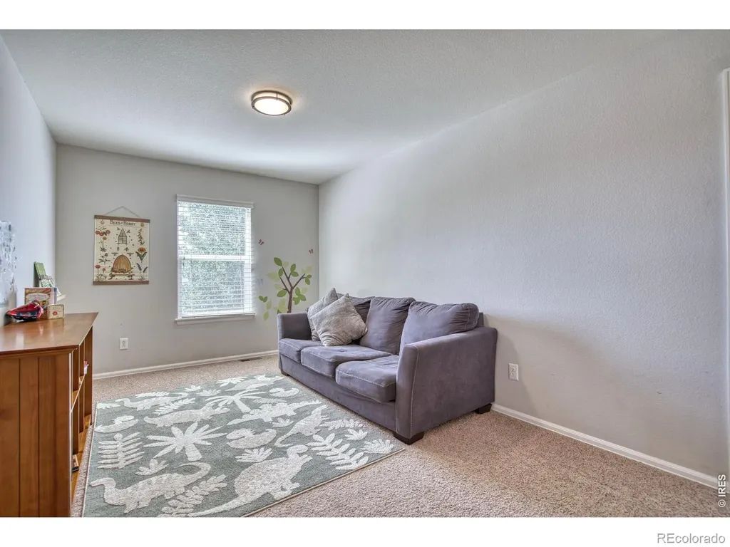 1667 Kelmsley Court Windsor CO 80550