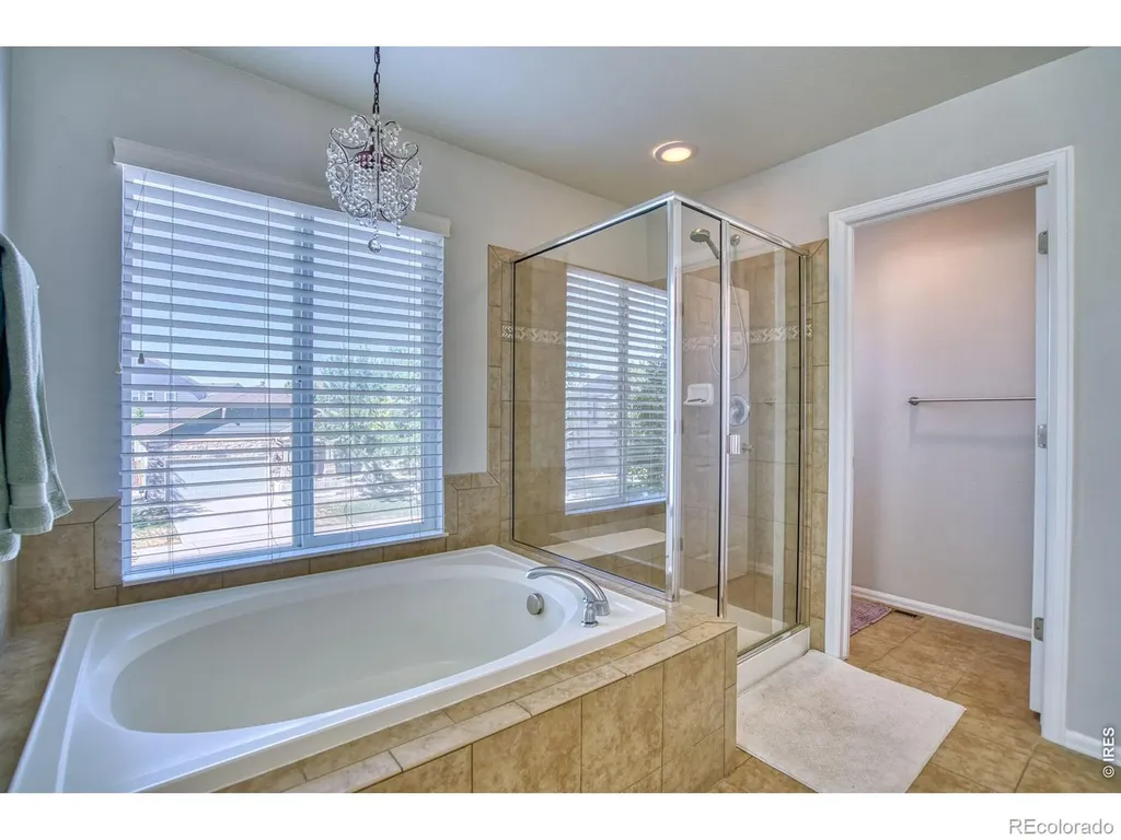1667 Kelmsley Court Windsor CO 80550