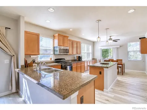 1667 Kelmsley Court Windsor CO 80550