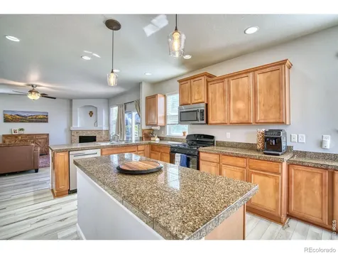 1667 Kelmsley Court Windsor CO 80550