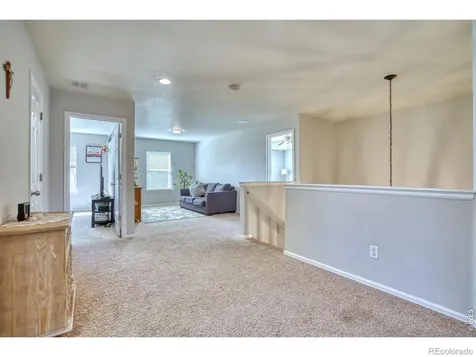 1667 Kelmsley Court Windsor CO 80550