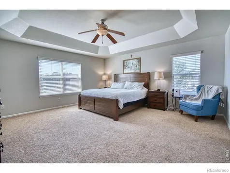 1667 Kelmsley Court Windsor CO 80550