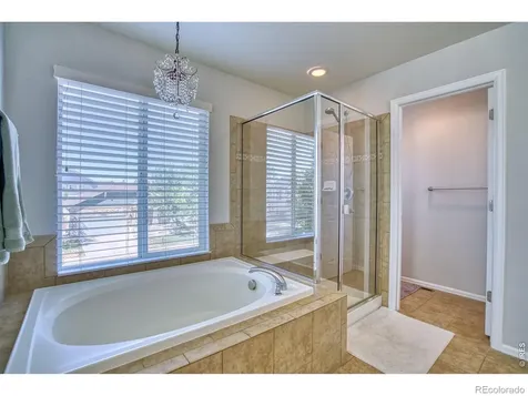 1667 Kelmsley Court Windsor CO 80550