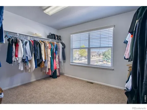 1667 Kelmsley Court Windsor CO 80550