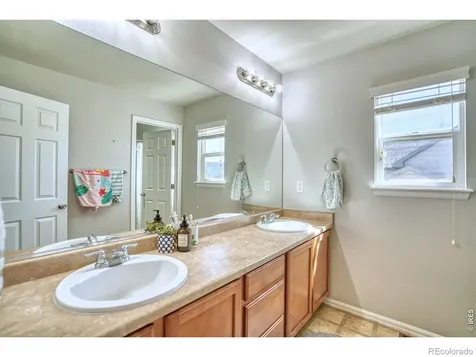 1667 Kelmsley Court Windsor CO 80550