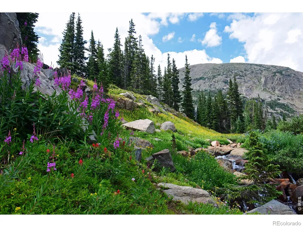 250 Eldora Road Nederland CO 80466