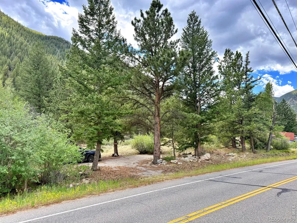 1944 Alvarado Road Georgetown CO 80444