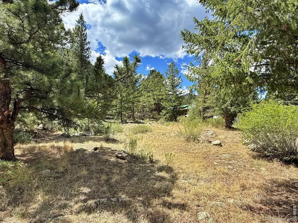 1944 Alvarado Road Georgetown CO 80444